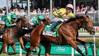 Breeders’ Cup: Kathynmarissa y Sunlit Uplands, por un cupo directo que otorga el Flower Bowl (G2)
