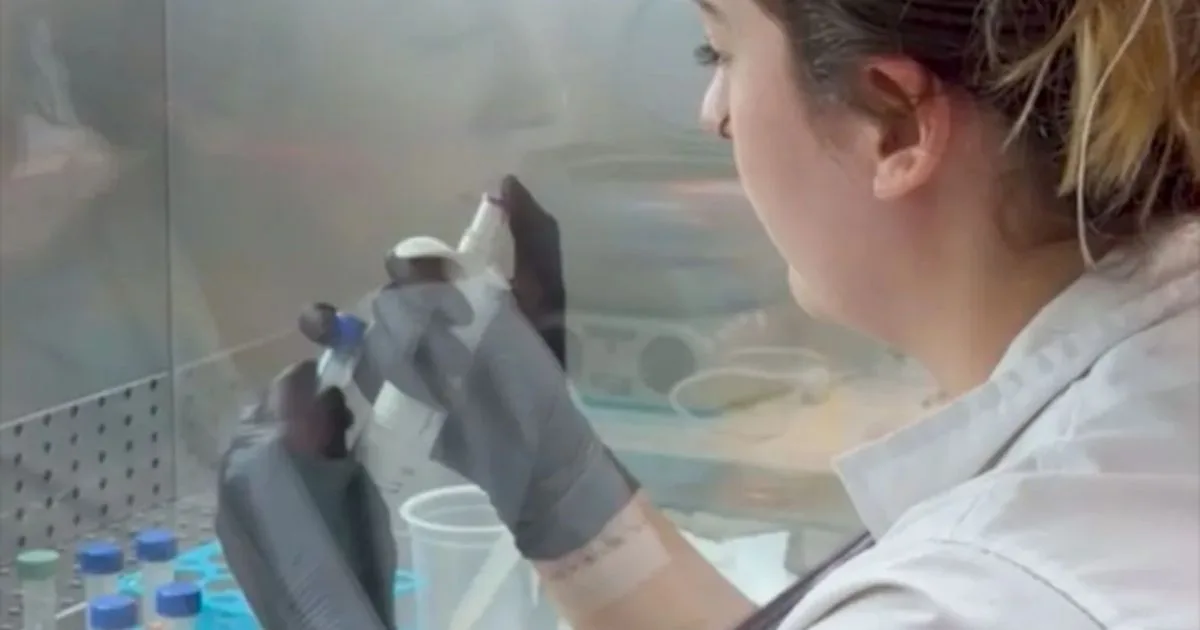 Más mujeres en la ciencia neuquina: el desafío pendiente está en los espacios de decisión