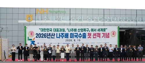 나주배 지난해 4천400t 수출…미국이 65% 차지
