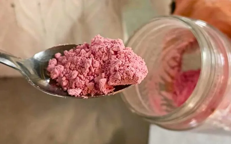 Investigadores de la UNJu desarrollaron un yogur en polvo con leche de cabra y pitaya roja
