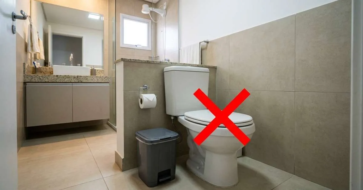 Levei muito tempo para descobrir por que o papel higiênico não deve ser descartado dentro do vaso sanitário