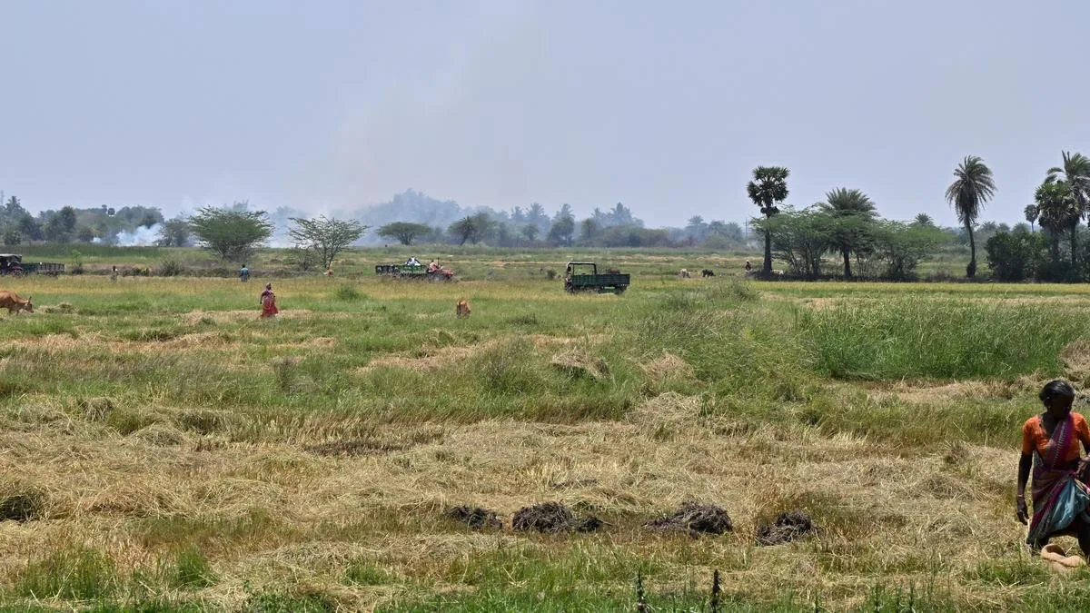 The uncertain flight of Parandur airport