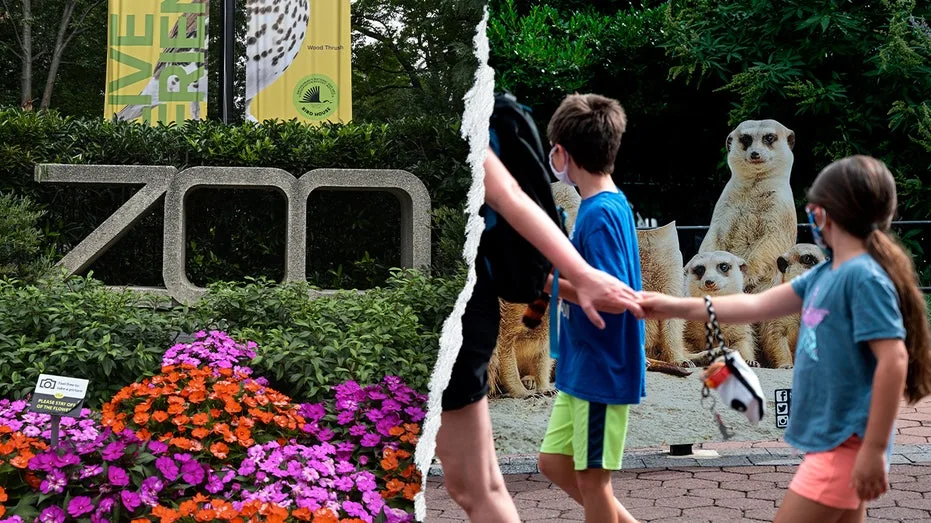 Gender equity, DEI, climate action: How the Smithsonian’s woke push ‘infiltrated’ America's most beloved Zoo