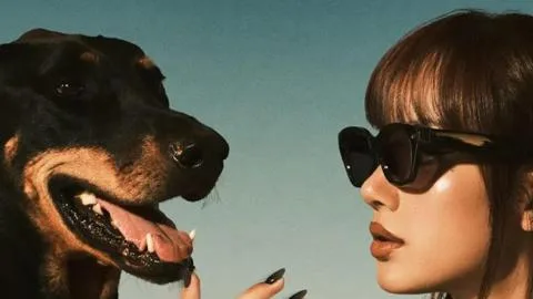 LISA lleva su universo a las nuevas gafas inteligentes de Meta con dos diseños exclusivos