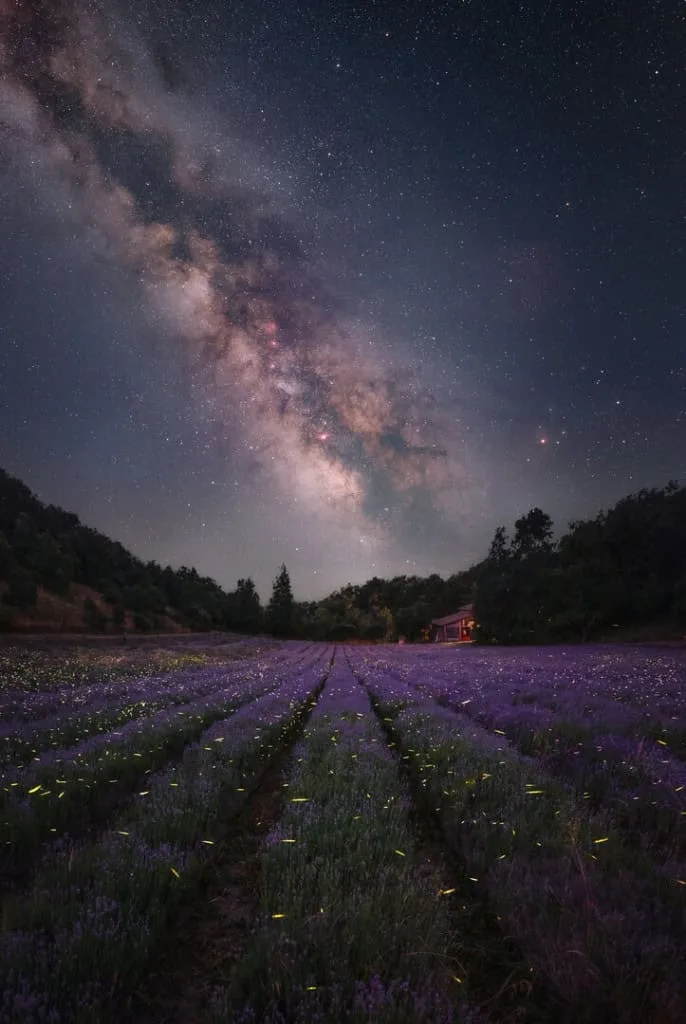 Estrelas não nascem iguais, e isso pode mudar como entendemos o Universo