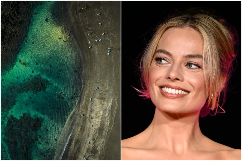 Margot Robbie-Narrated ‘Galapagos: The Last Eden’ Trailer Unveiled Ahead of Venice Immersive Bow (EXCLUSIVE)