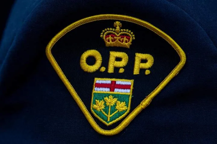 Police investigate small plane crash in field near Fergus, Ont.
