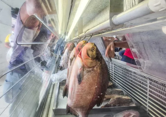 Estado abre 15 dias de campanha de preços para turbinar venda de pescado
