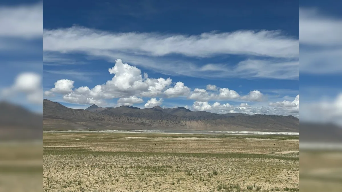 Bid To Revive Ladakh Lake That Shrunk By 70% In A Decade