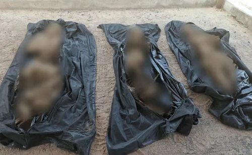 Hallan tres osamentas en tumbas de panteones de Miguel Alemán, Tamaulipas; es una situación alarmante para familias de desaparecidos: colectivo