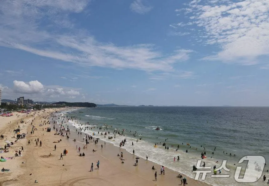 폐장한 대천해수욕장서 표류하던 20대…안전요원들이 구조