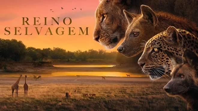 Imperdível! Nova série documental da BBC sobre a vida selvagem chega ao Discovery e HBO Max