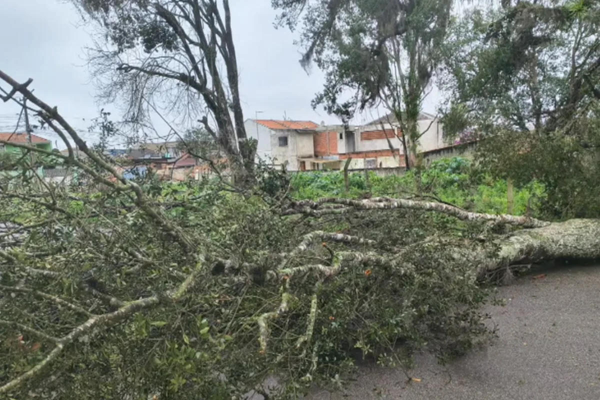 Chuva intensa provoca estragos em cidades da Região Metropolitana de Curitiba