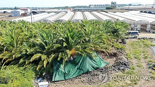 제주 범죄 발생비 전국 최고지만…10년간 19.8% 감소
