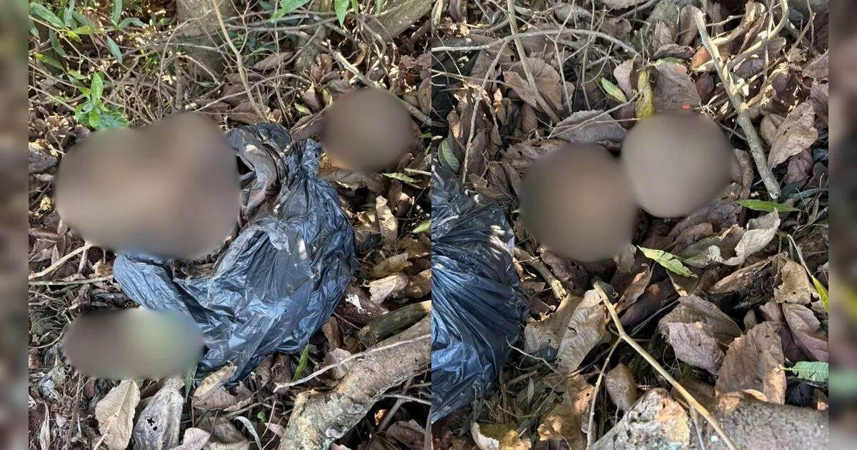 Polícia apura se cinco crânios humanos achados em Ibiporã vieram de túmulos de Londrina (PR)