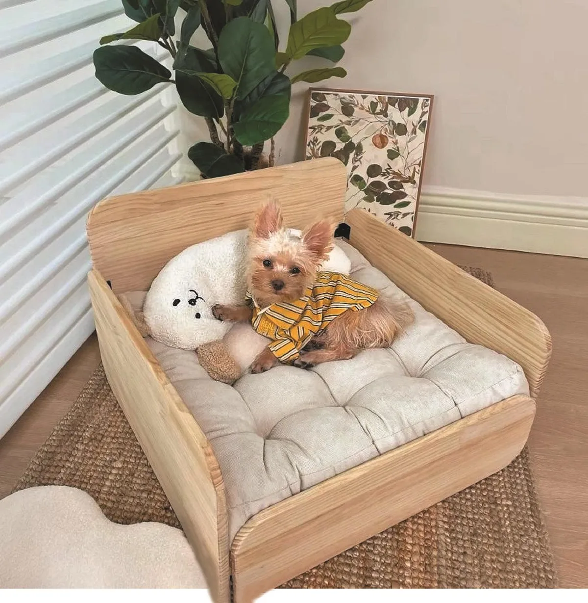 Animal kingdom: Gucci, LV accessories bring luxury to furry companions