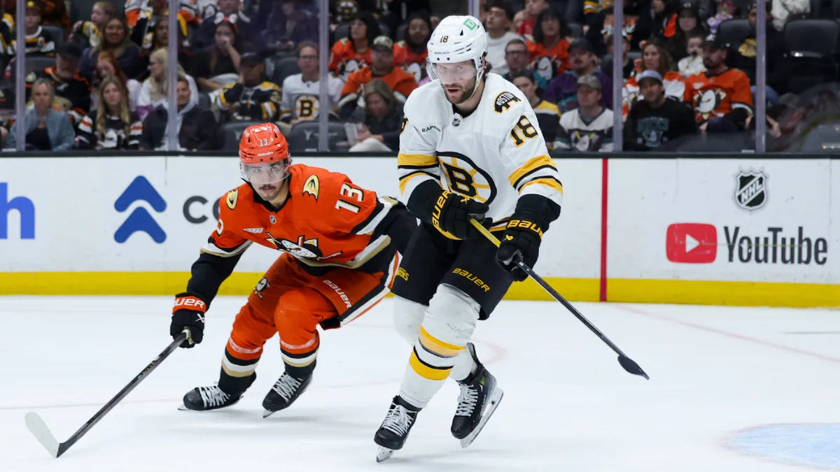 Lindholm sparks streaking Bruins’ comeback win over Ducks