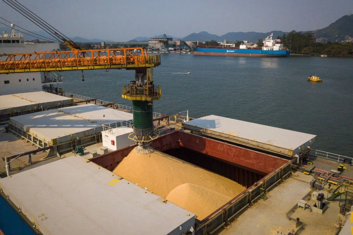 Justiça condena empresa em R$ 150 mil por trabalho clandestino em porões de navios no Porto de Santos