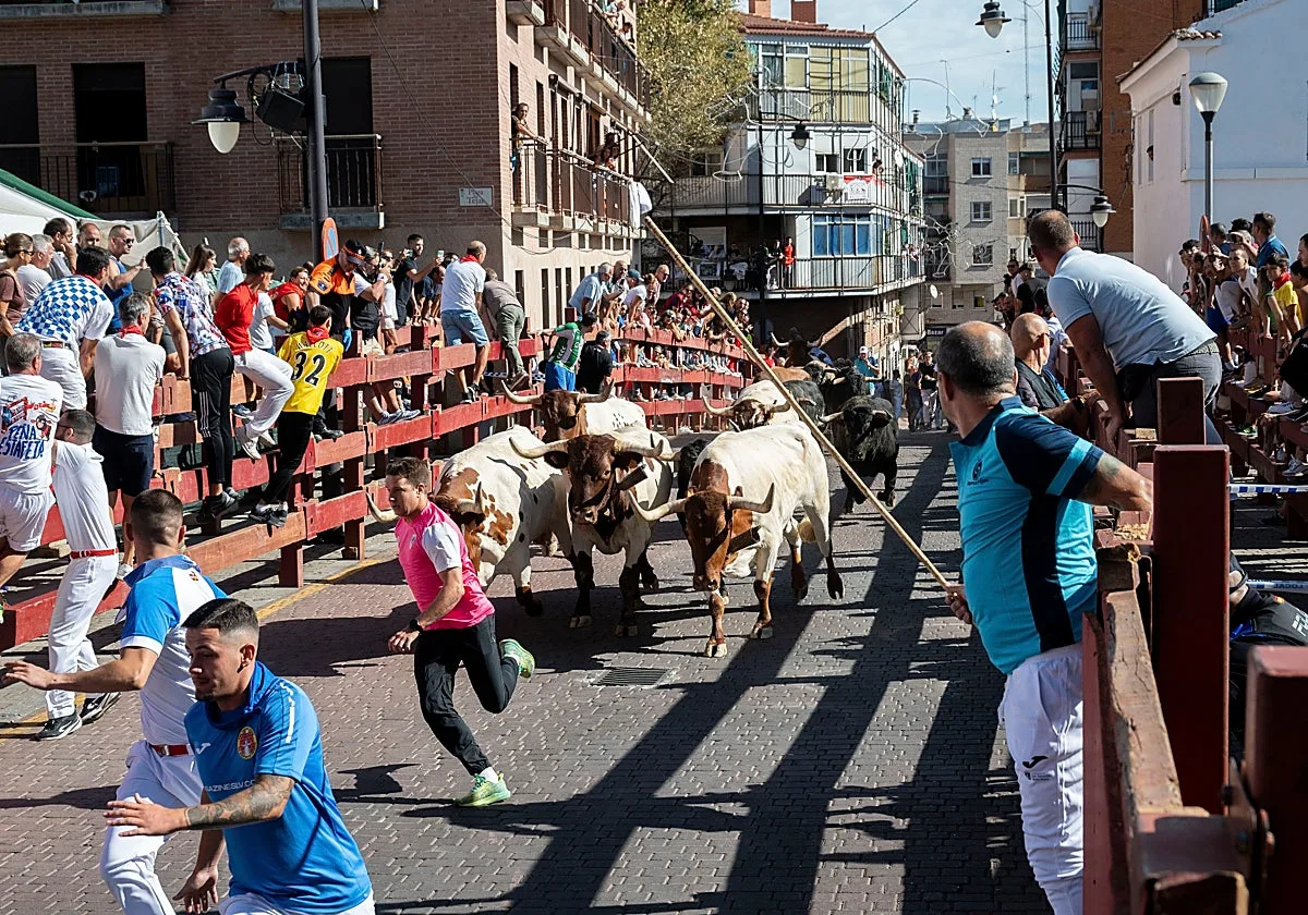 El tercer encierro de San Sebastián de los Reyes reúne a 1.600 corredores y deja siete heridos leves