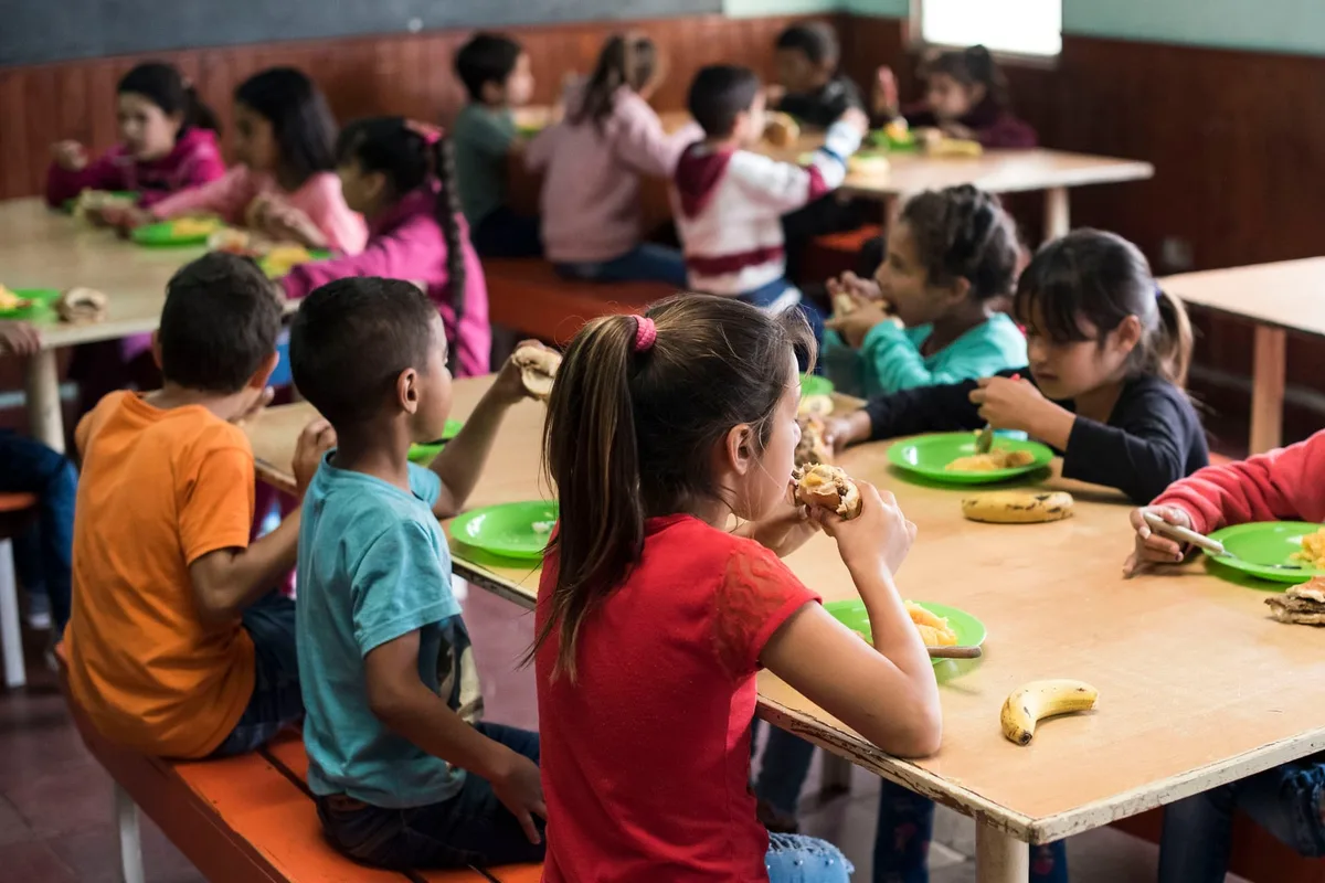 Denuncian irregularidades por más de $100 millones en comedores escolares de Entre Ríos