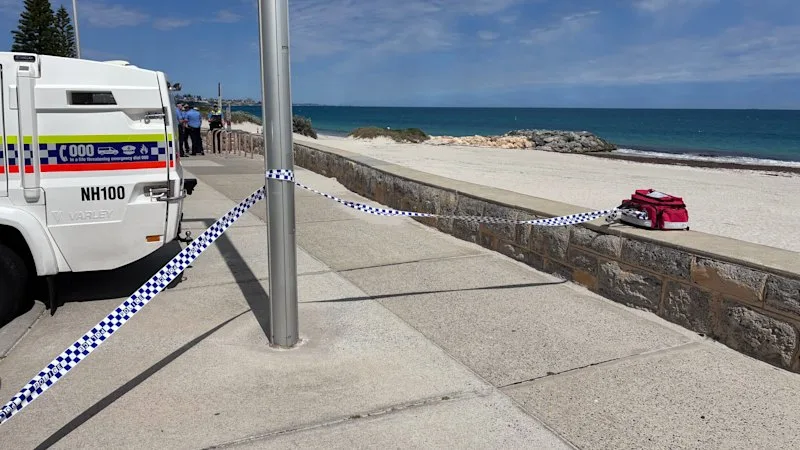 Government must step in over escalating shark attacks in WA, experts warn