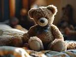What would YOU grab if you had to leave your house immediately? Study reveals Brits' most common answers - with many choosing a teddy bear