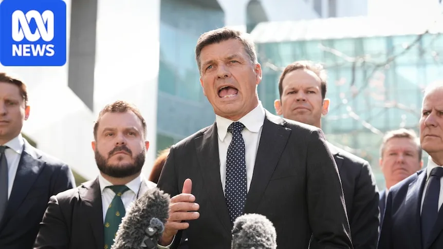 Coalition vows to 'take a chainsaw' to climate laws, offshore wind