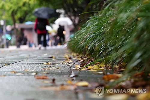 전북 흐리고 약한 비…낮 기온 25∼27도