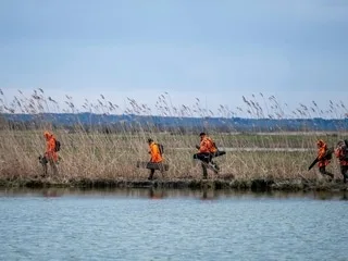 Les préfets peuvent suspendre la chasse au gibier d’eau, annonce le ministre de la Transition écologique