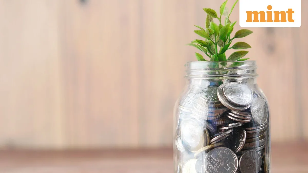 Bandhan Small Cap Fund July portfolio: 15 stocks added, 9 exited; HDFC Bank, AWL Agri see higher holdings
