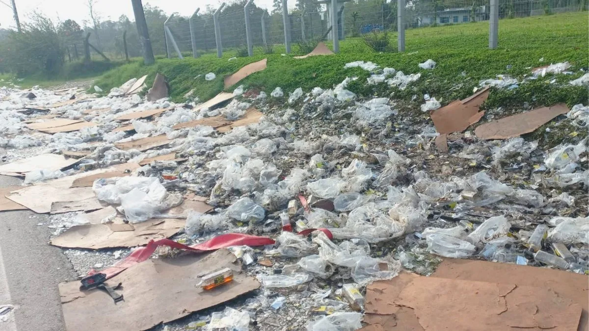 Carga de whisky cai de carreta e cerca de 1,8 mil garrafas são furtadas em rodovia de SC