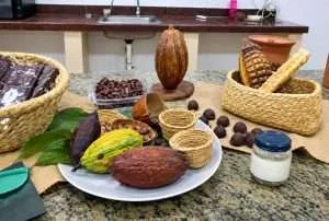 Impulsan formación científica y producción de cacao en Aragua