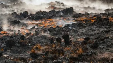 Belgien: Nach dem Brand im Hohen Venn