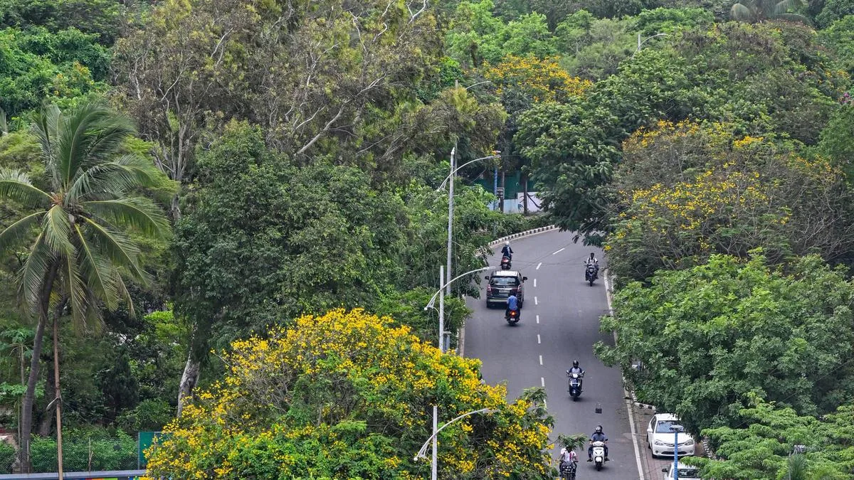 CAG audit flags major gaps in Green India Mission implementation