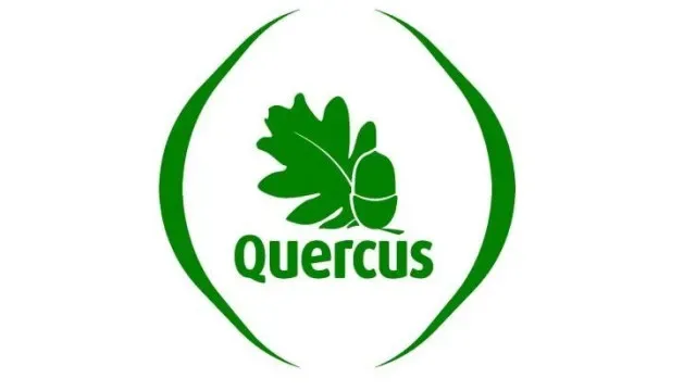 Quercus contra renovação de licença das Minas da Panasqueira