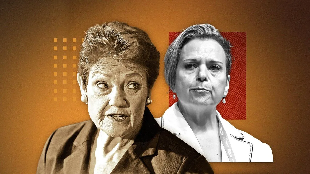 Pauline Hanson demands Michelle Rowland apology over One Nation extremist claims and violence threats