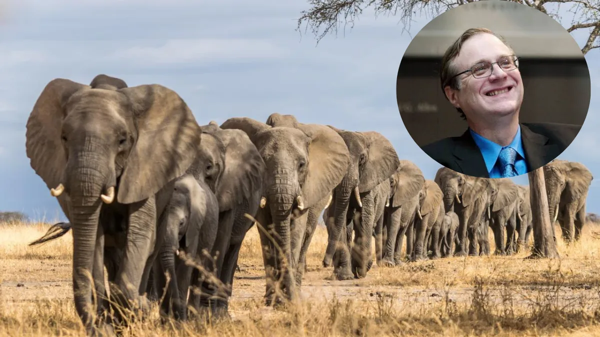 Paul Allen spent $7 million counting Africa's elephants; 30% had vanished