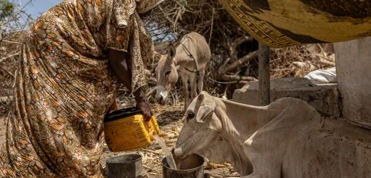 Somalia: Nach Dürre nun Flut – Hunderttausende Menschen in Gefahr