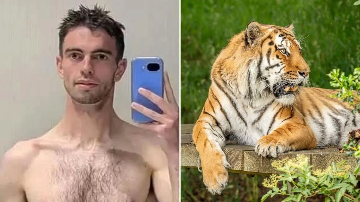 Man killed by tiger at UK wildlife park identified as former child star William Chapman as new footage surfaces