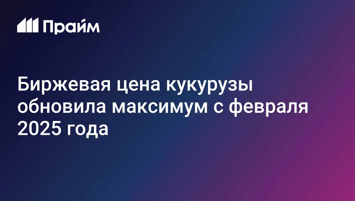 Биржевая цена кукурузы обновила максимум с февраля 2025 года