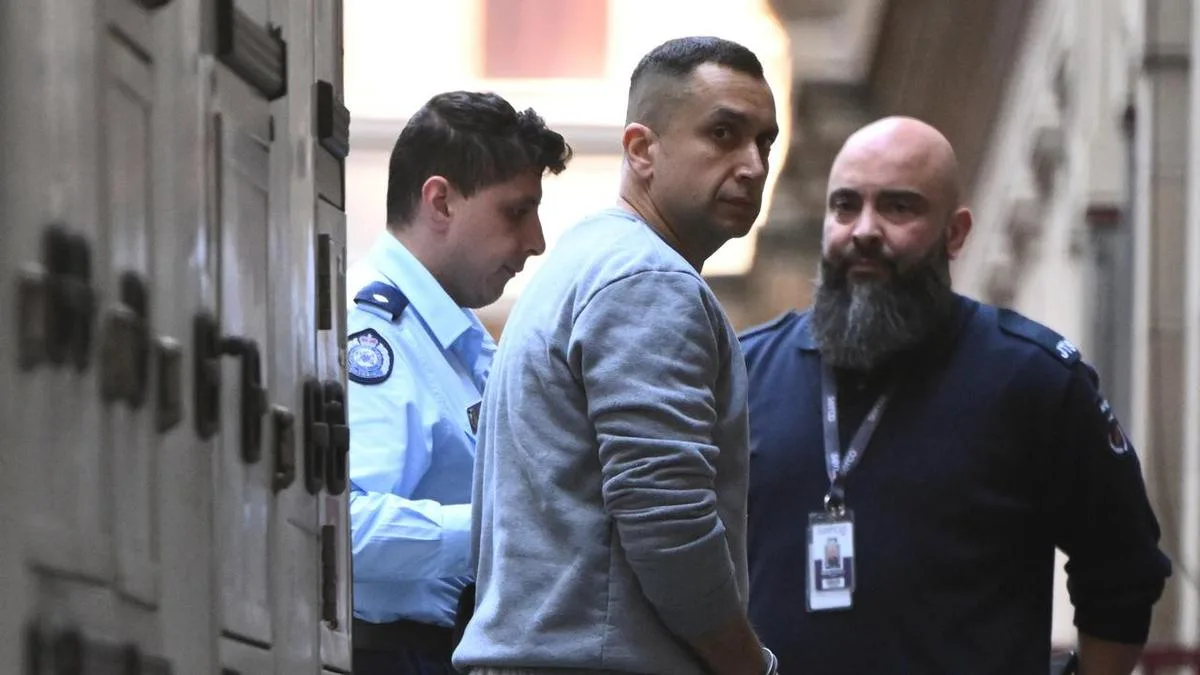 Chess pro's alleged stalker goes on hunger strike