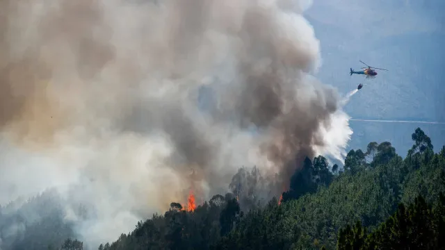 Fogo na Atalaia, Proença-a-Nova, entrou em resolução