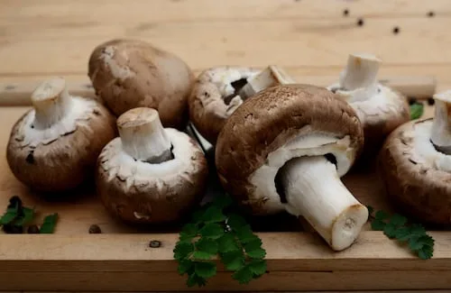 Hongos comestibles: guía para comprar, limpiar y cocinar en casa