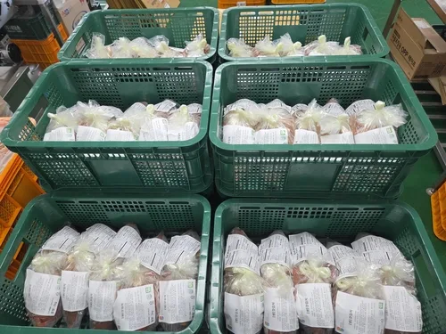 전남광주 김치 1.5t 미국 수출길…10월에는 영국에도