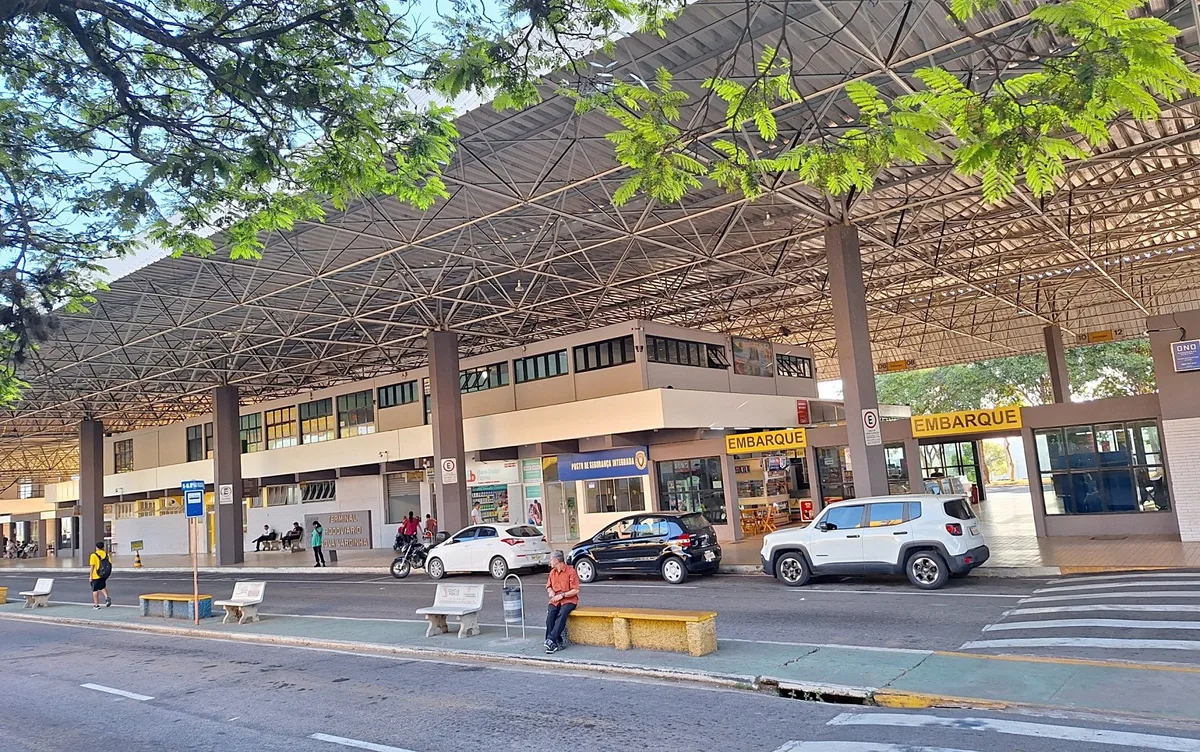 Passageira encontra baratas em poltronas e janela de ônibus em viagem no Sul de MG: 'Se dormir, é perigoso entrar na boca'