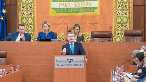 Sanz defiende la actuación de la Junta en los incendios forestales y la oposición apremia a "sacar el cuñadismo del Gobierno andaluz"