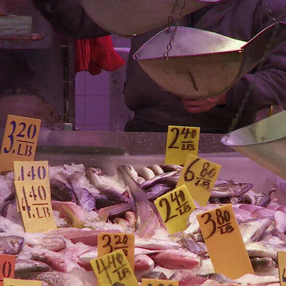 Fish Food
