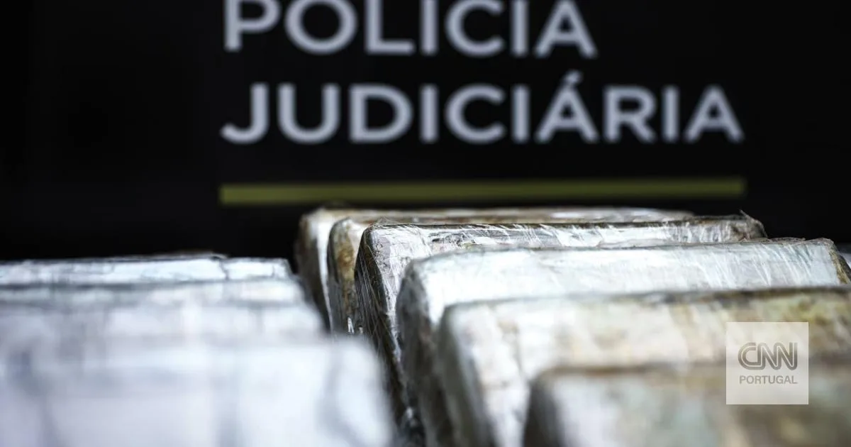 Seis condenados a penas até nove anos de prisão por tráfico de cocaína em lulas congeladas