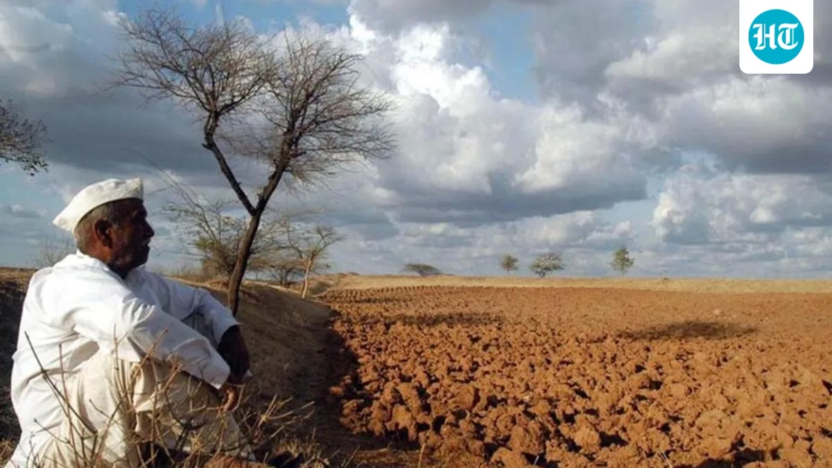 Weak rains leave a trail of wilted crops, dry plots
