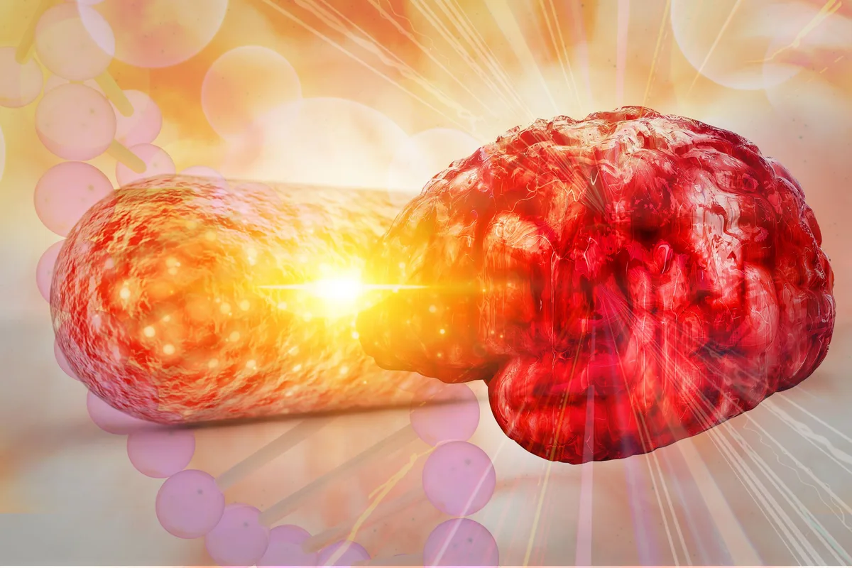There’s a New Link Between Gut Health and Alzheimer’s Disease